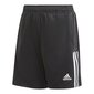 Adidas Shortsit Tiro21 Tr Short Black GN2161 hinta ja tiedot | Poikien shortsit | hobbyhall.fi