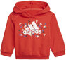 Adidas Urheiluasu I Bos Gra Jog Blue Red hinta ja tiedot | Poikien kokoasut ja setit | hobbyhall.fi