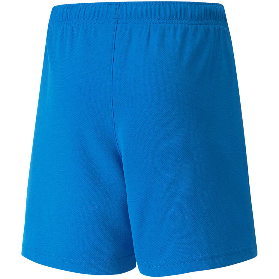 Puma Shortsit Teamrise Short Jr Blue 704943 02 hinta ja tiedot | Poikien shortsit | hobbyhall.fi