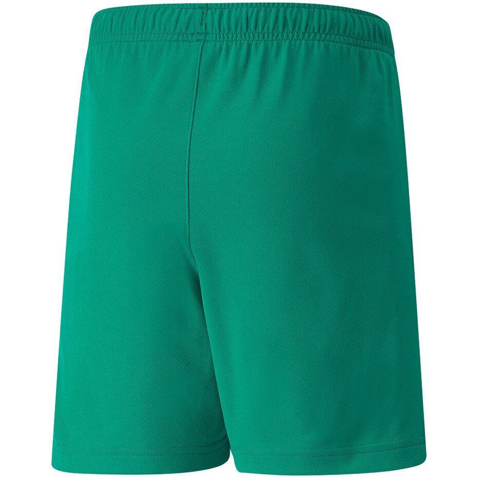 Puma Shortsit Teamrise Short Jr Green 704943 05 hinta ja tiedot | Poikien shortsit | hobbyhall.fi