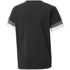 Puma T-paita TeamRise Jersey Black 704938 03 hinta ja tiedot | Poikien paidat | hobbyhall.fi