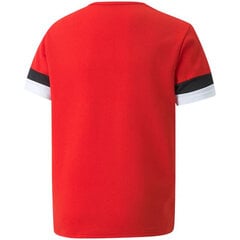 Puma T-paita TeamRise Jersey Red 704938 01 hinta ja tiedot | Poikien paidat | hobbyhall.fi