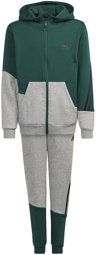 Adidas Urheiluasu B Winter Ts Grey Green hinta ja tiedot | Poikien kokoasut ja setit | hobbyhall.fi