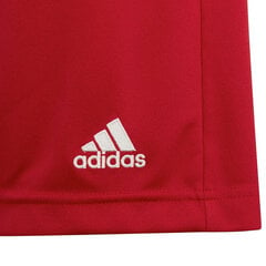 Adidas Shortsit Ent22 Short Y Red H57501 hinta ja tiedot | Poikien shortsit | hobbyhall.fi