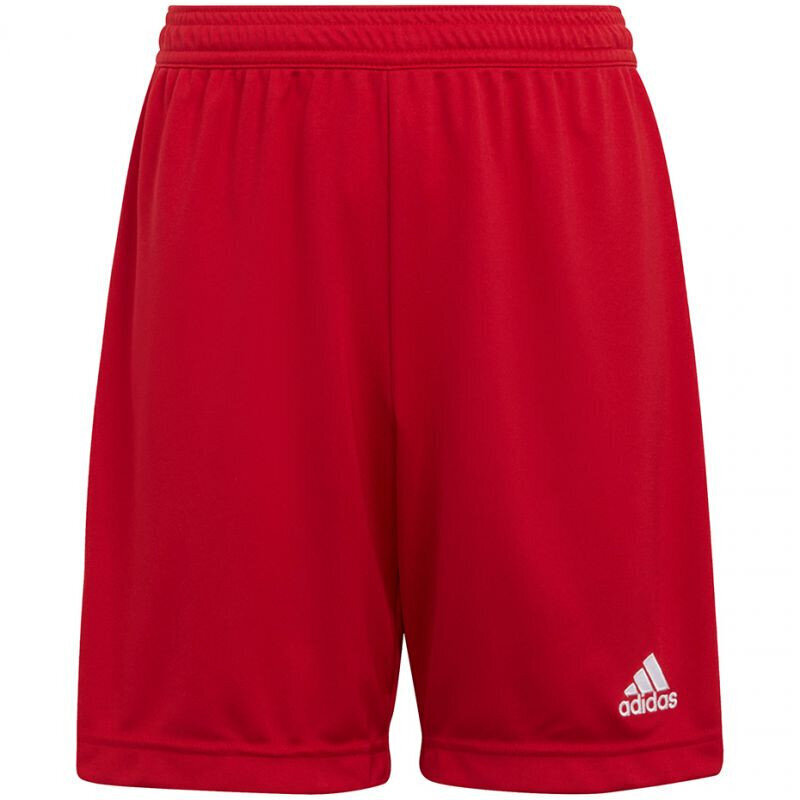 Adidas Shortsit Ent22 Short Y Red H57501 hinta ja tiedot | Poikien shortsit | hobbyhall.fi