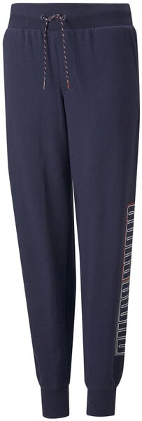 Puma Housut Alpha Sweatpants Blue 847290 06