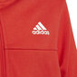 Adidas Urheiluasu B Cotton Ts Black Red HF4509 hinta ja tiedot | Poikien puserot, liivit ja jakut | hobbyhall.fi