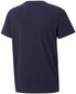 Puma T-paita Alpha Graphic Tee Blue 847292 06 hinta ja tiedot | Poikien paidat | hobbyhall.fi