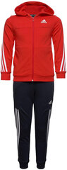 Adidas Urheiluasu B Cotton Ts Blue Red HU1547 hinta ja tiedot | Poikien kokoasut ja setit | hobbyhall.fi