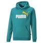 Puma Jumpperi Ess+ 2 Col Big Logo Green 586987 27 hinta ja tiedot | Poikien puserot, liivit ja jakut | hobbyhall.fi