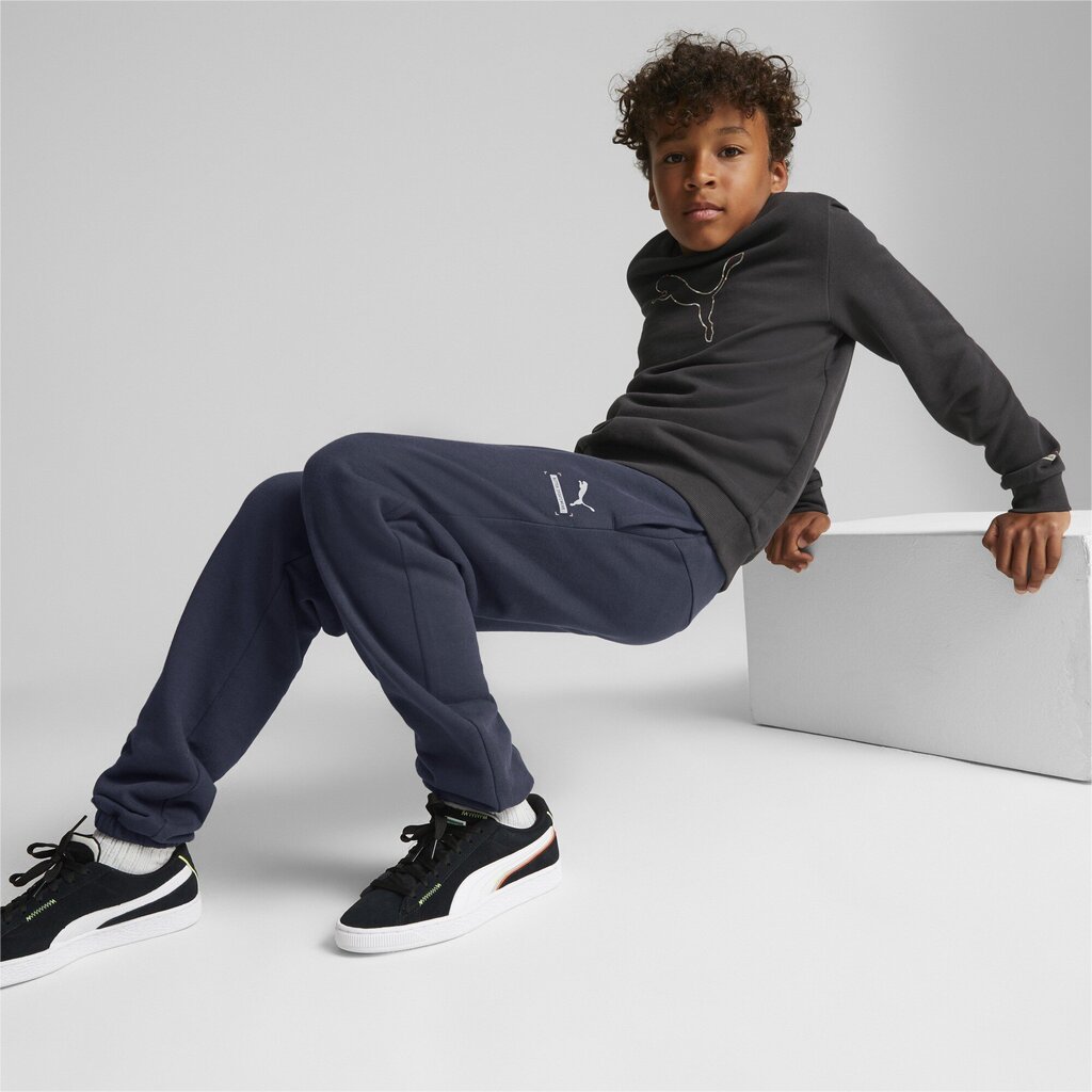 Puma Urheiluhousut Active Sports Sweatpants Tr Navy 670076 43 hinta ja tiedot | Poikien housut | hobbyhall.fi