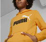 Puma huppari Ess+ 2Col Big Logo Yellow 586987 39 hinta ja tiedot | Poikien puserot, liivit ja jakut | hobbyhall.fi
