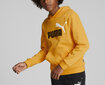 Puma Jumpperi Ess+ 2Col Big Logo Yellow 586987 39 hinta ja tiedot | Poikien puserot, liivit ja jakut | hobbyhall.fi