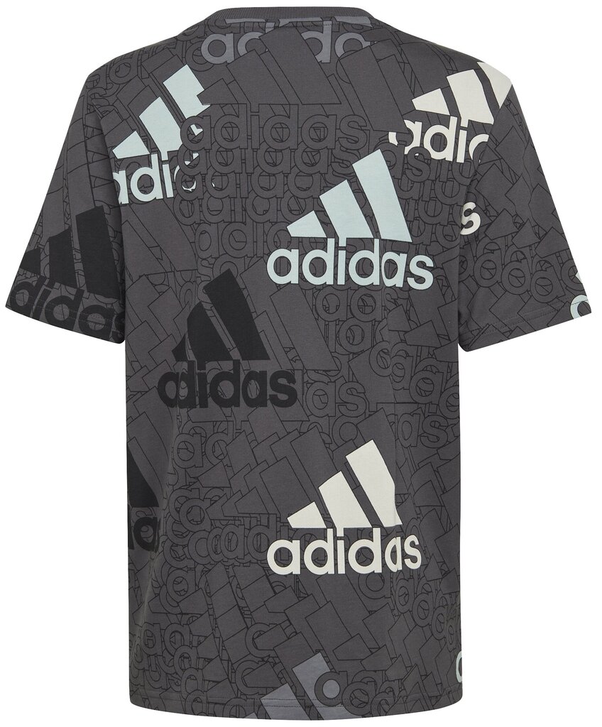 Adidas T-paita U Bl Logo Tee Grey HP0819 hinta ja tiedot | Poikien paidat | hobbyhall.fi