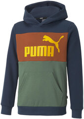 Puma huppari Ess Block Hoodie Brown Green Blue 849081 73 hinta ja tiedot | Poikien puserot, liivit ja jakut | hobbyhall.fi