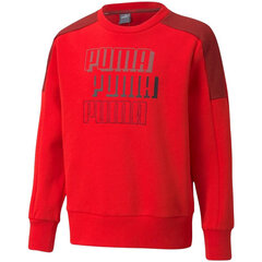 Puma huppari Alpha Crew Red hinta ja tiedot | Poikien puserot, liivit ja jakut | hobbyhall.fi