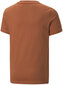 Puma T-paita Alpha Holiday Tee Orange 670109 64 hinta ja tiedot | Poikien paidat | hobbyhall.fi