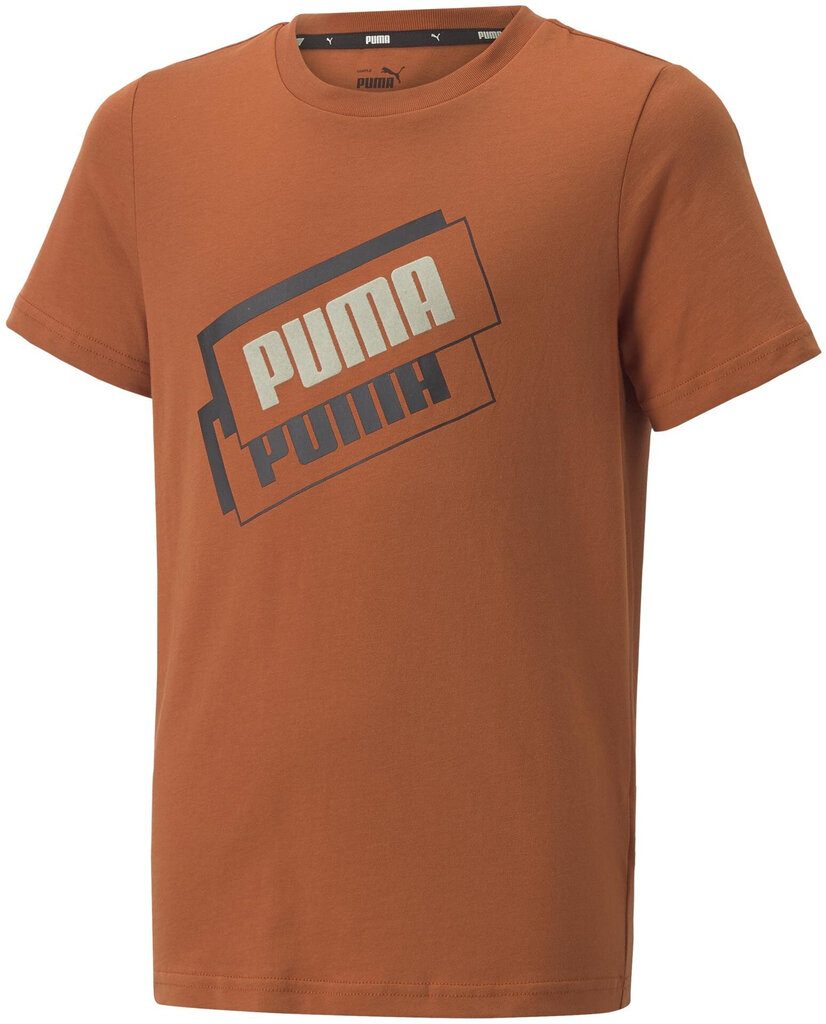 Puma T-paita Alpha Holiday Tee Orange 670109 64 hinta ja tiedot | Poikien paidat | hobbyhall.fi