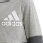 Adidas Jumpperi U Cb Hoodie Grey HN8564 hinta ja tiedot | Poikien puserot, liivit ja jakut | hobbyhall.fi