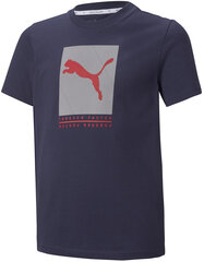 Puma T-paita Active Sports Graphic Tee 846993 06 hinta ja tiedot | Poikien paidat | hobbyhall.fi