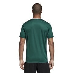 Adidas T-paita Entrada 18 Jsy Green hinta ja tiedot | Poikien paidat | hobbyhall.fi