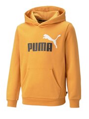 Puma huppari Ess + 2 Col Big Logo Yellow 586987 30 hinta ja tiedot | Poikien puserot, liivit ja jakut | hobbyhall.fi