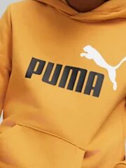Puma huppari Ess + 2 Col Big Logo Yellow 586987 30 hinta ja tiedot | Poikien puserot, liivit ja jakut | hobbyhall.fi