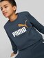 Puma huppari Ess + 2 Col Big Logo Navy 586986 16 hinta ja tiedot | Poikien puserot, liivit ja jakut | hobbyhall.fi