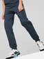 Puma Housut Ess + 2 Col Logo Pants Blue 586988 16 hinta ja tiedot | Poikien housut | hobbyhall.fi