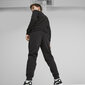 Puma Housut Ess + 2 Col Logo Pants Black 586988 61 hinta ja tiedot | Poikien housut | hobbyhall.fi