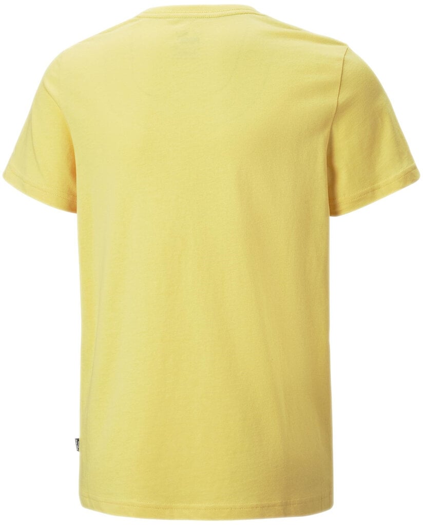 Puma T-paita Ess+ 2 Col Logo Tee Yellow 586985 45 hinta ja tiedot | Poikien paidat | hobbyhall.fi