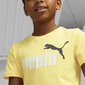 Puma T-paita Ess+ 2 Col Logo Tee Yellow 586985 45 hinta ja tiedot | Poikien paidat | hobbyhall.fi