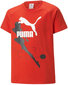 Puma T-paita X Miraculous Tee Red 538683 20 hinta ja tiedot | Poikien paidat | hobbyhall.fi