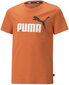 Puma T-paita Ess+ 2 Col Logo Tee Orange 586985 95 hinta ja tiedot | Poikien paidat | hobbyhall.fi
