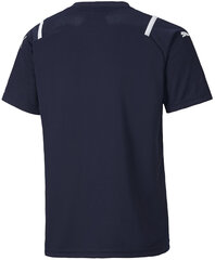 Puma T-Paita TeamUltimate Jersey Jr Blue 705078 06 hinta ja tiedot | Poikien paidat | hobbyhall.fi