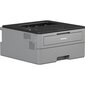 Brother HL-L2352DW hinta ja tiedot | Tulostimet | hobbyhall.fi