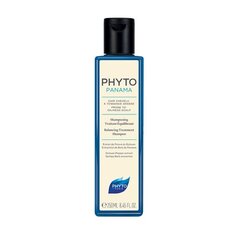 Tasapainottava shampoo Phyto Panama 250 ml hinta ja tiedot | Phyto Hajuvedet ja kosmetiikka | hobbyhall.fi