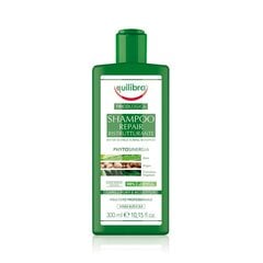 Palauttava shampoo Equilibra Tricologica 300 ml hinta ja tiedot | Shampoot | hobbyhall.fi