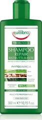 Palauttava shampoo Equilibra Tricologica 300 ml hinta ja tiedot | Shampoot | hobbyhall.fi