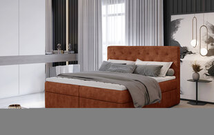 Sänky NORE Loree 03, 140x200 cm, punainen hinta ja tiedot | Sängyt | hobbyhall.fi