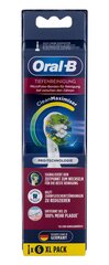 Sähköhammasharjan vaihtoharja Oral-B Clean Maximizer, 6 kpl hinta ja tiedot | Sähköhammasharjan vaihtoharjat | hobbyhall.fi