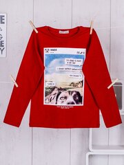 Punainen pusero printillä. hinta ja tiedot | Poikien paidat | hobbyhall.fi