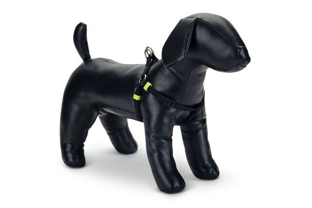 Koiran valjaat Beeztees, musta, 35-60 cm hinta ja tiedot | Koiran valjaat ja kaulapannat | hobbyhall.fi