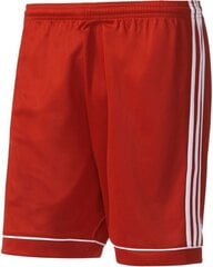 Adidas Shortsit Squad 17 Shorts Red hinta ja tiedot | Naisten urheiluvaatteet | hobbyhall.fi