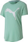 Puma Puserot Evostripe Tee Green hinta ja tiedot | Naisten urheiluvaatteet | hobbyhall.fi