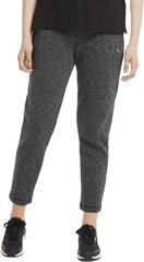 Puma Housut Evostripe Pants Grey hinta ja tiedot | Naisten urheiluvaatteet | hobbyhall.fi