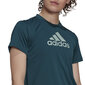 Adidas Puserot W Bl T Green hinta ja tiedot | Naisten T-paidat | hobbyhall.fi