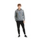 Puma huppari TeamGoal 23 Causals Grey 656580 33 hinta ja tiedot | Naisten urheiluvaatteet | hobbyhall.fi