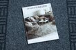Rugsx eteismatto Primavera, 66x150 cm hinta ja tiedot | Ovimatot | hobbyhall.fi