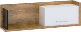 Seinähylly Meblocross Box 11, 1D, tammi/valkoinen hinta ja tiedot | Hyllyt | hobbyhall.fi